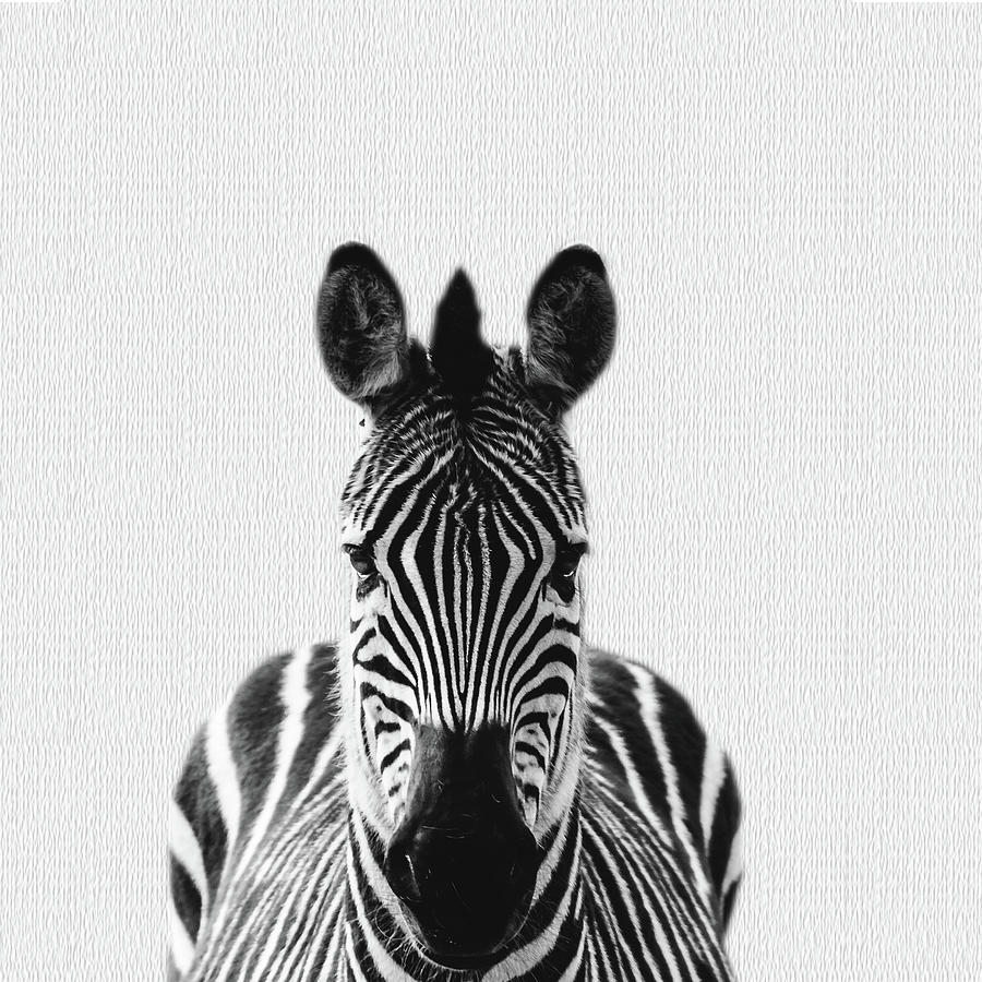 Nature Mixed Media - Zebra by TheMilkyWay SixOneSix