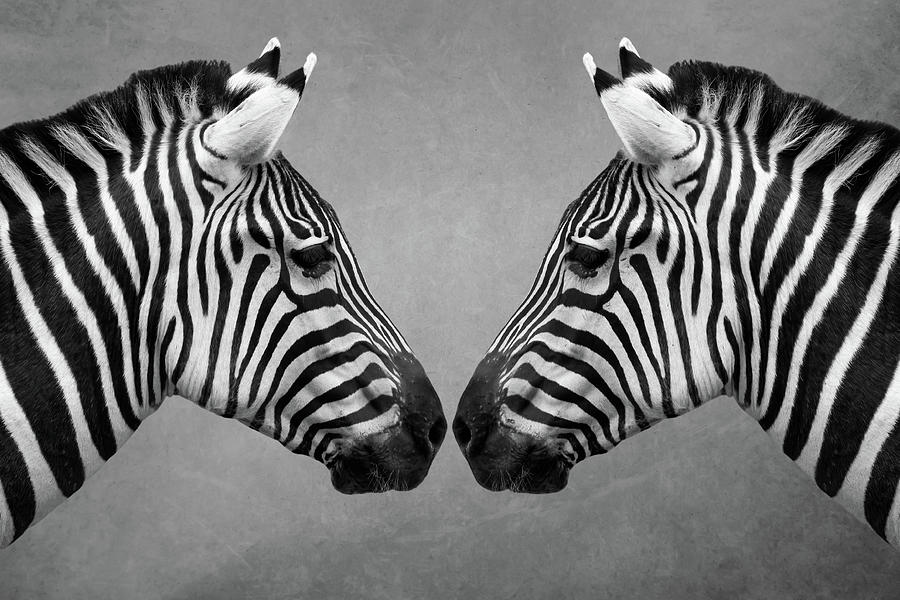 Zebra Twins Digital Art by Marjolein Van Middelkoop
