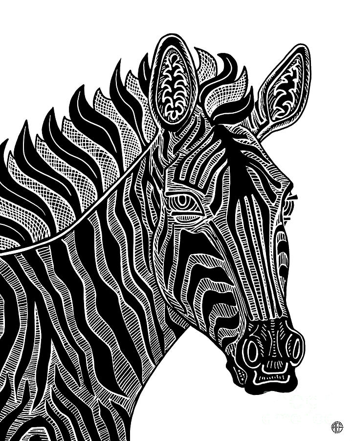 Zebra. Wild Animal Ink 15 Drawing by Amy E Fraser
