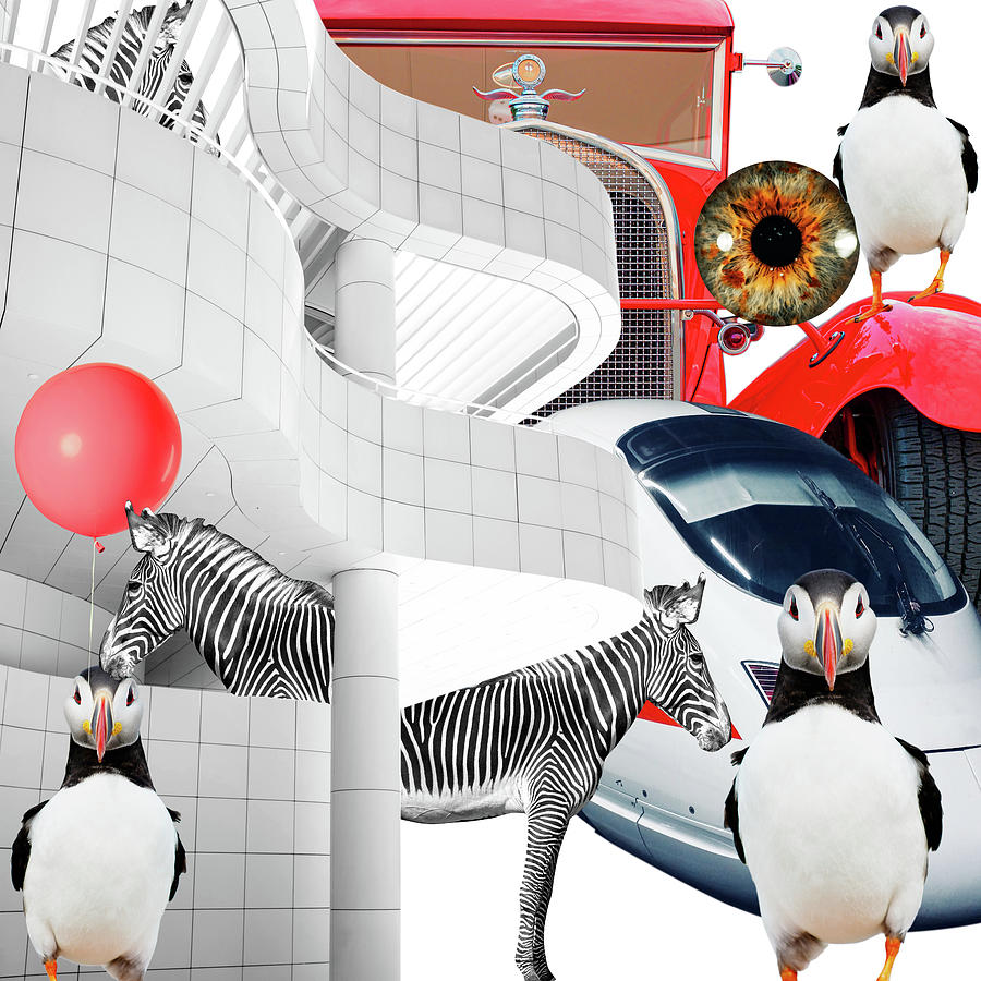Zebras and Puffins in the City Collage Digital Art by Judi Suni Hall