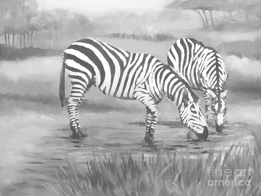 Zebras Photograph by Audrey Peaty