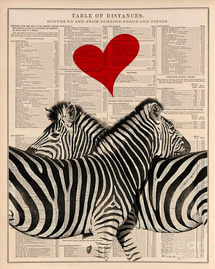 Zebra Photograph - Zebras in love by Delphimages Photo Creations