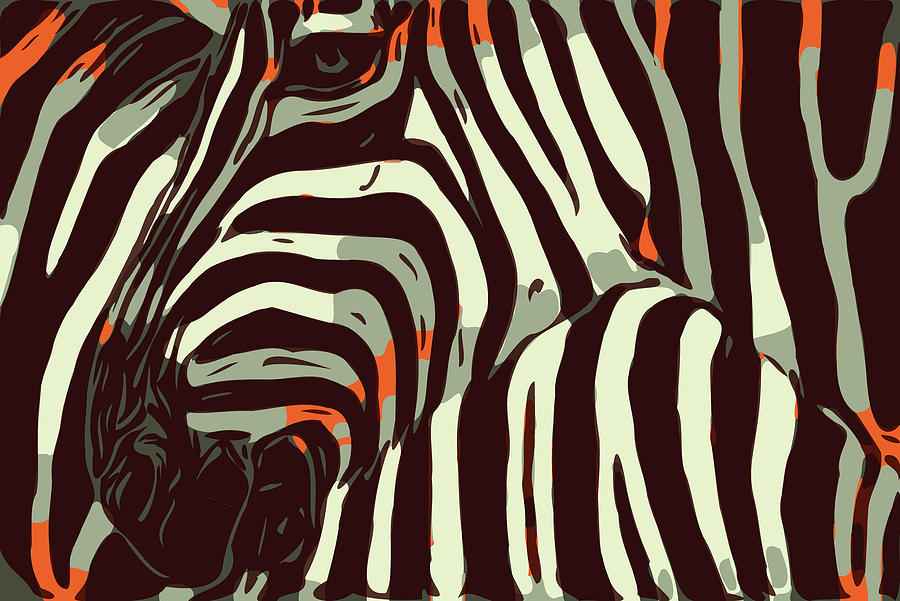 Zebras Digital Art by Susan Maxwell Schmidt