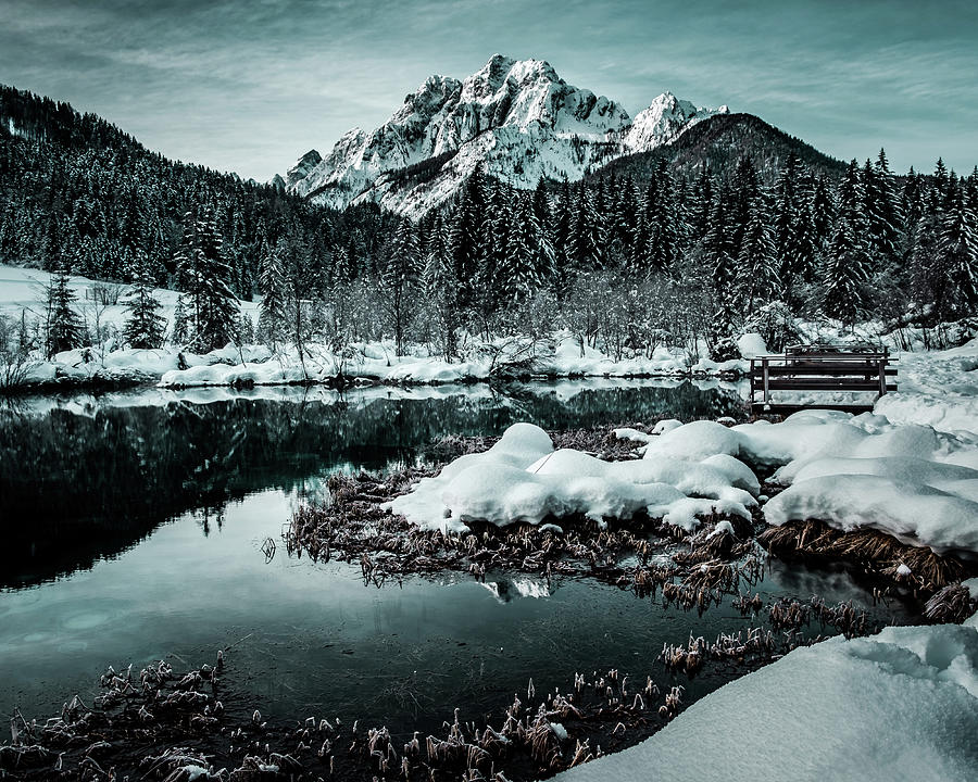 Zelenci Photograph by Metod Polak - Fine Art America