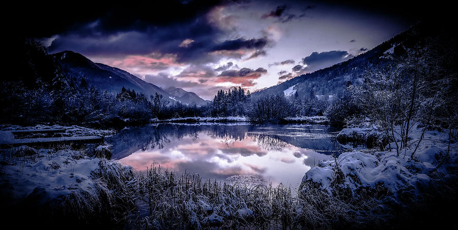 Zelenci Springs In Winter Digital Art by Michael Damiani