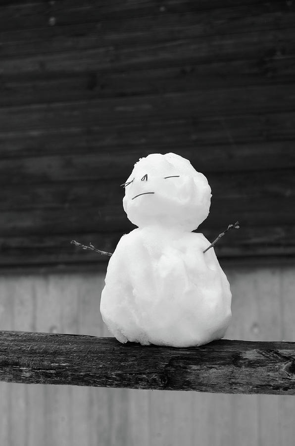 Zen Fence Sitting Mini Snowman Black and White Photograph by Shawn OBrien Zen Fence Sitting Mini Snowman Black and White Photograph by Shawn OBrien