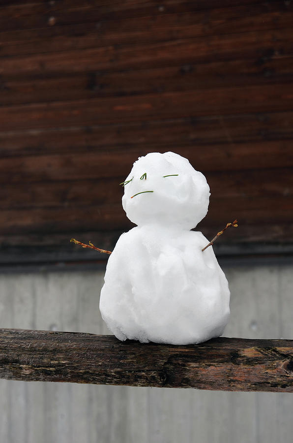 Zen Fence Sitting Mini Snowman by Shawn O'Brien