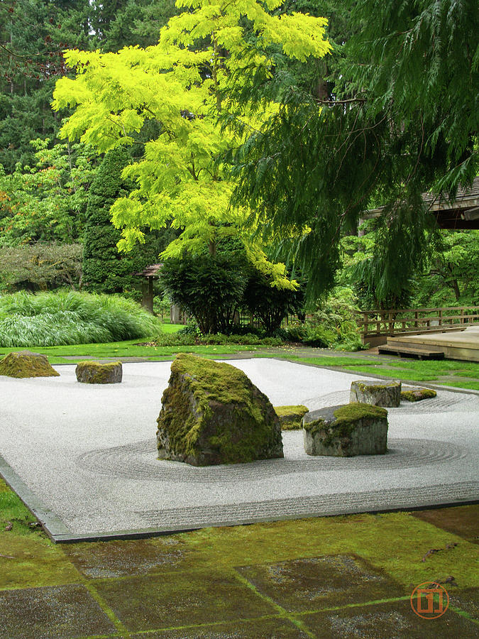 Zen Garden Photograph by Grey Coopre