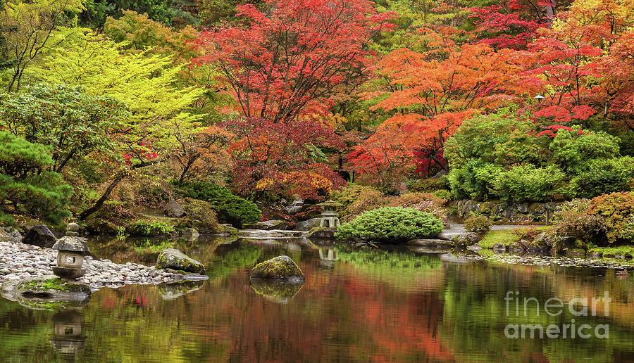 Zen Garden Reflected Photograph by Mike Reid