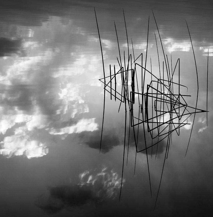 Zen grasses Photograph by Stephen Holst