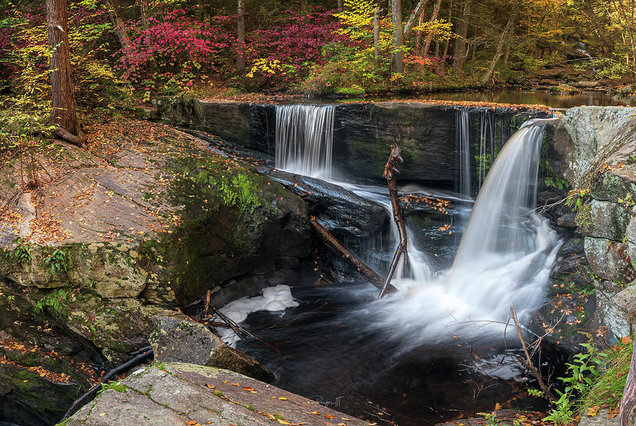 Zen in the Heart of Chaos Photograph by Simmie Reagor | Fine Art America