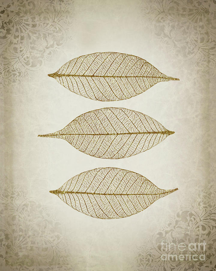 Nature Photograph - Zen leaves by Delphimages Photo Creations