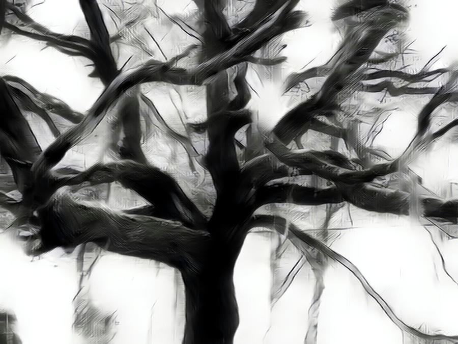 Zen Tree Digital Art by Christina Knight