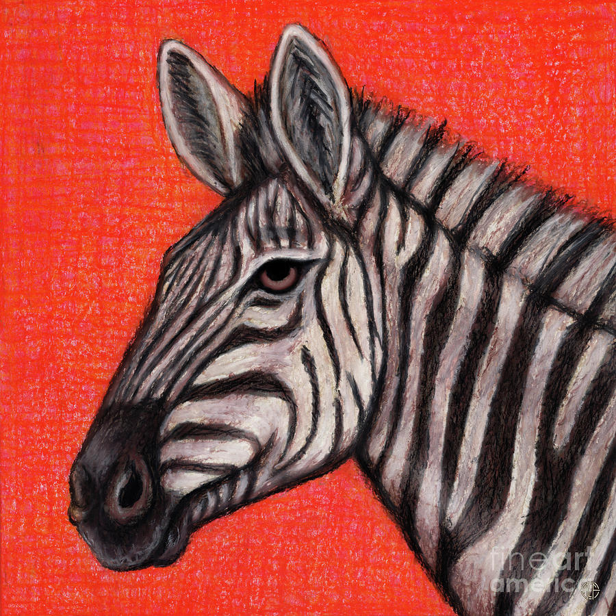 Zen Zebra Painting by Amy E Fraser