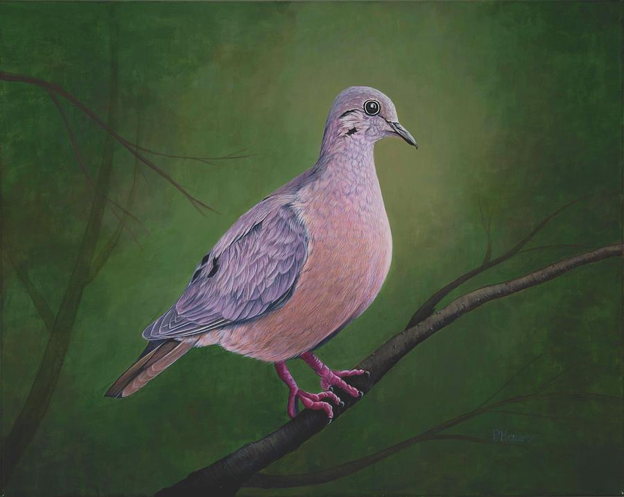 Zenaida Dove Painting
