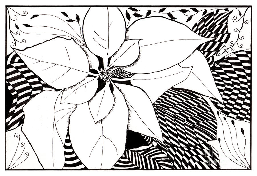 Zentangle Poinsettia in Black and White Drawing by Conni Schaftenaar