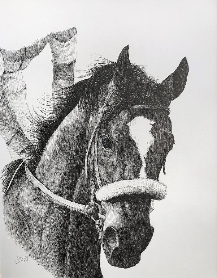 Horse Drawing - Zenyatta by Suzy Barnett