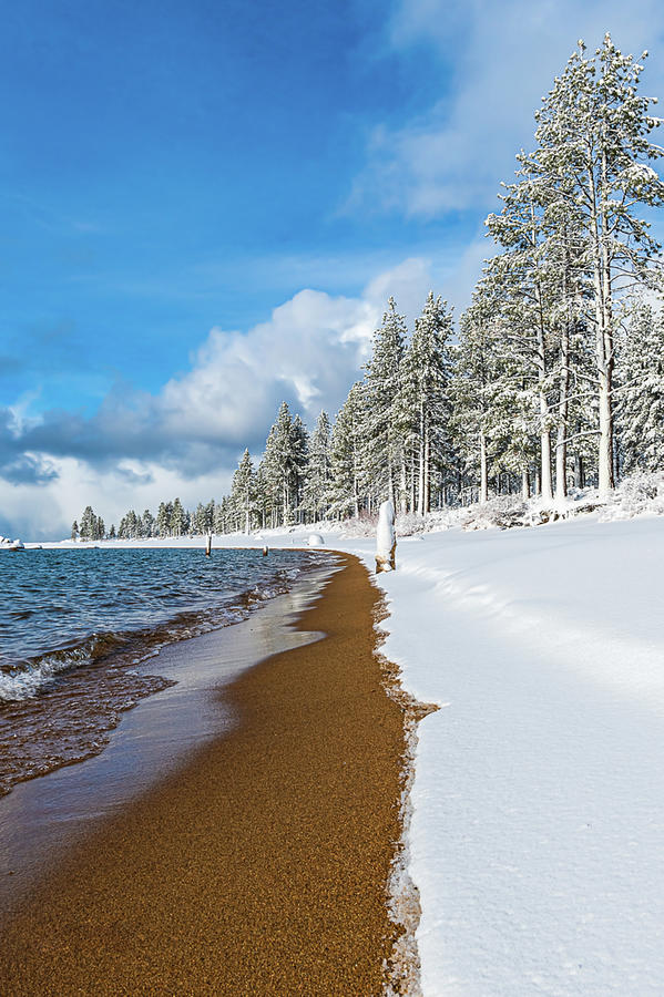 Zephyr Cove Photograph by Michael Petrich Pixels