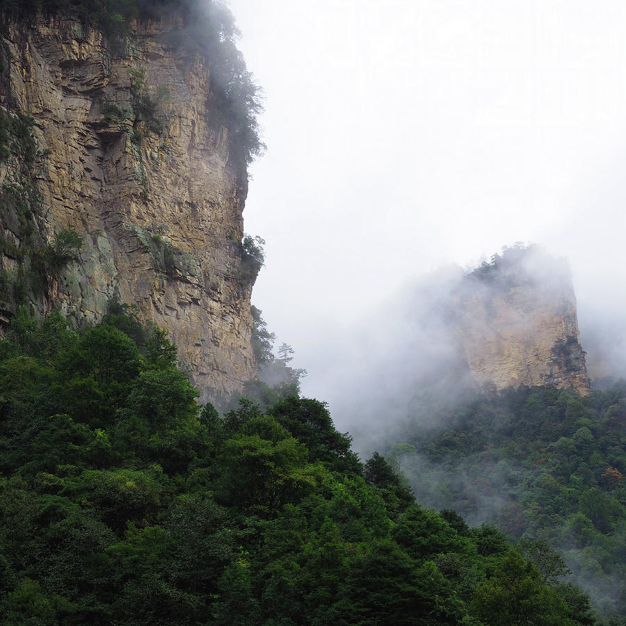 Zhangjiajie in Fog Photograph by Matthew Conheady | Fine Art America