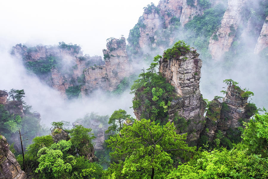 Zhangjiajie Tianzi Mountain Nature Reserve Photograph by Arj Munoz