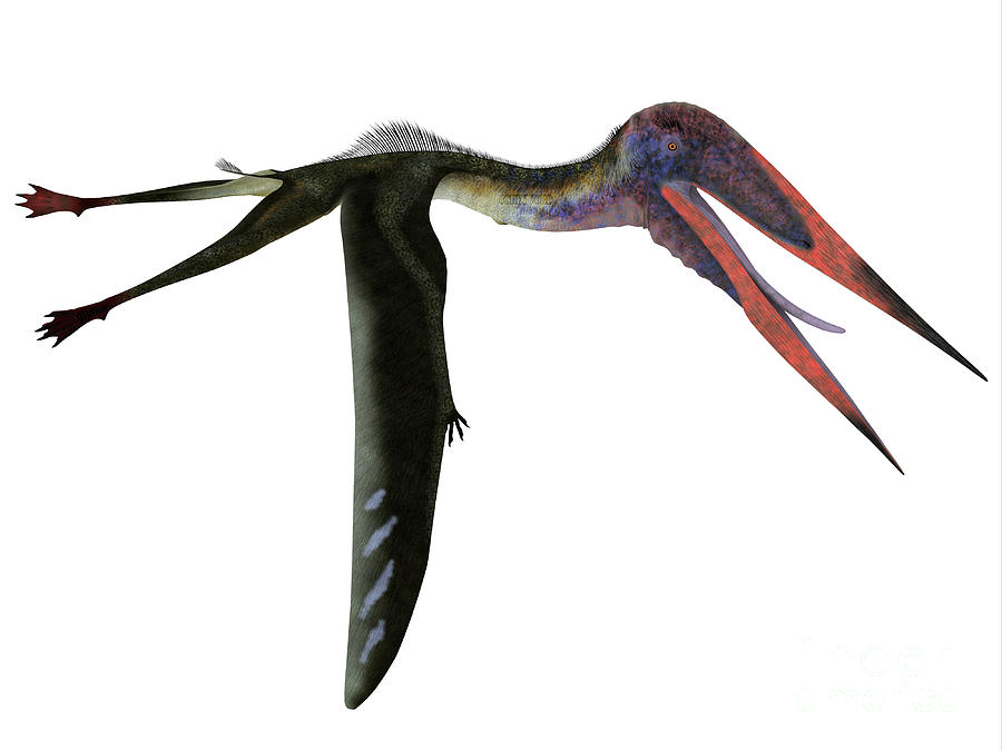 Zhejiangopterus Pterosaur Flying Digital Art