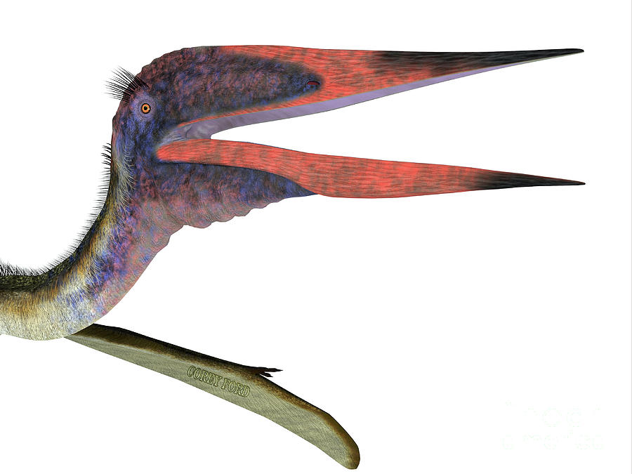 Zhejiangopterus Pterosaur Head Digital Art by Corey Ford