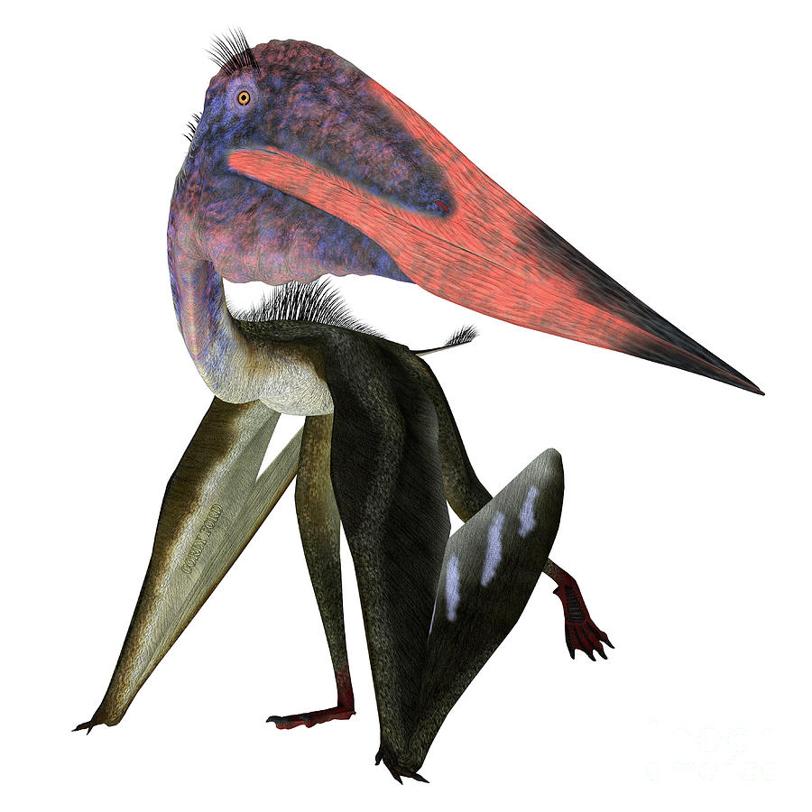Zhejiangopterus Pterosaur Walking Digital Art by Corey Ford