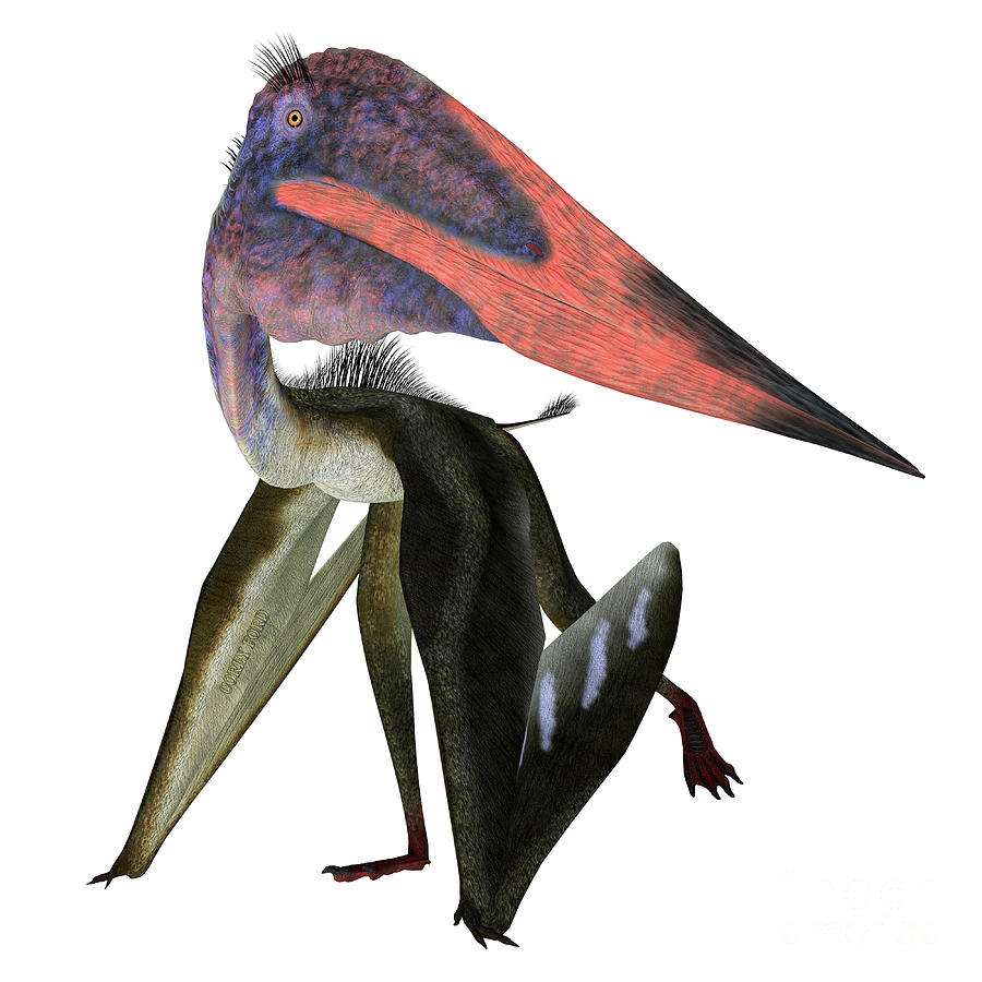 Zhejiangopterus Pterosaur Walking Digital Art by Corey Ford | Pixels