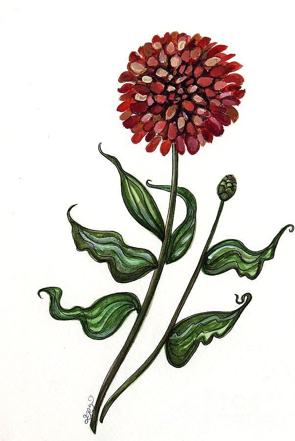 Zinnia Botanical Painting by Elizabeth Robinette Tyndall