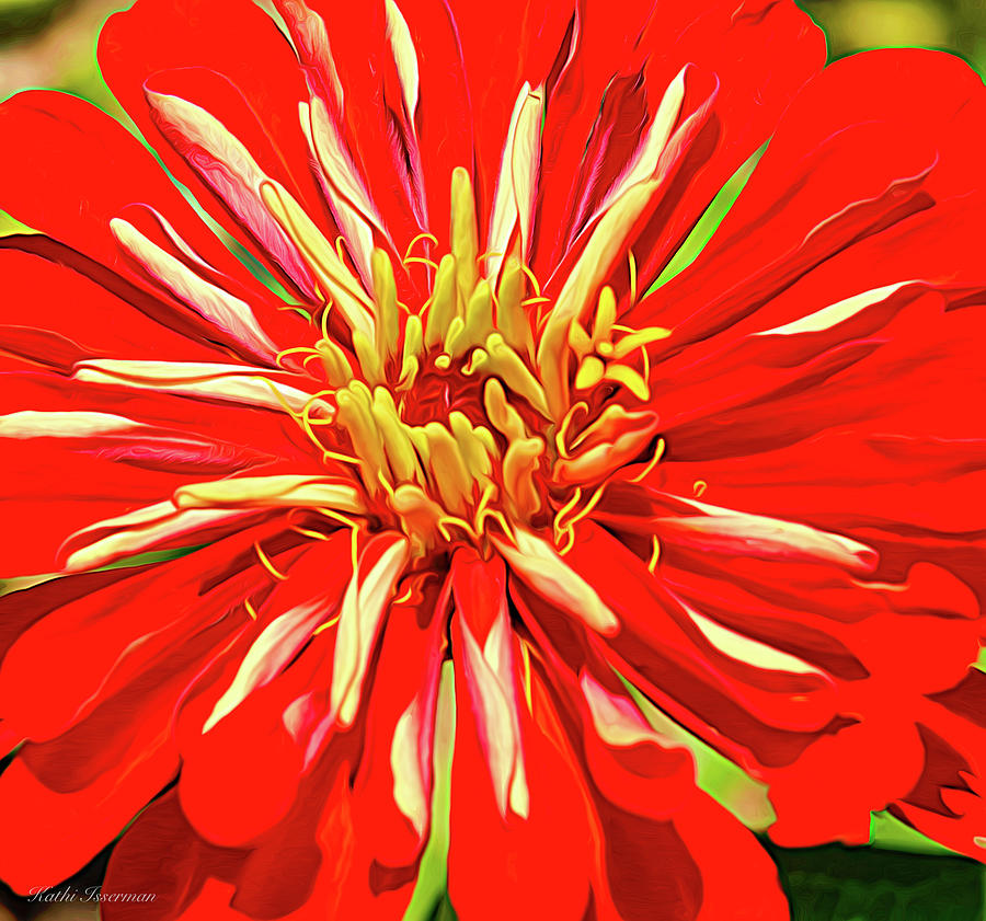 Zinnia Expressionism Photograph by Kathi Isserman Zinnia Expressionism Photograph by Kathi Isserman