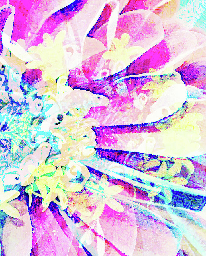 Zinnia Flower Abstract One Half Digital Art by Gaby Ethington