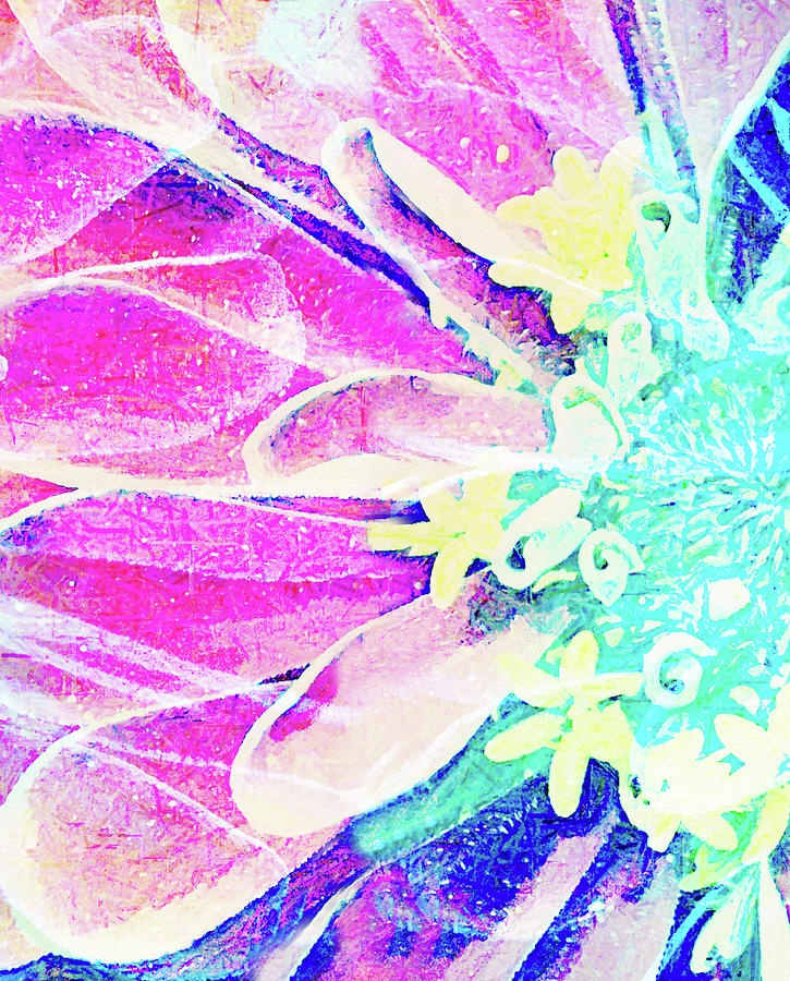 Zinnia Flower Abstract the Other Half Digital Art by Gaby Ethington