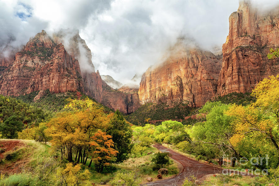 Zion After a Rain Photograph by Roxie Crouch