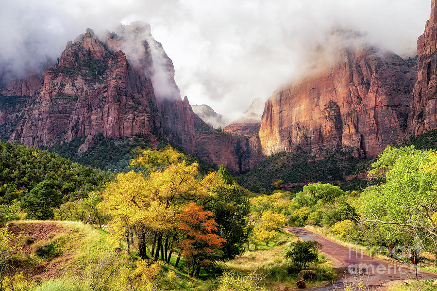 Zion Autumn Photograph by Roxie Crouch