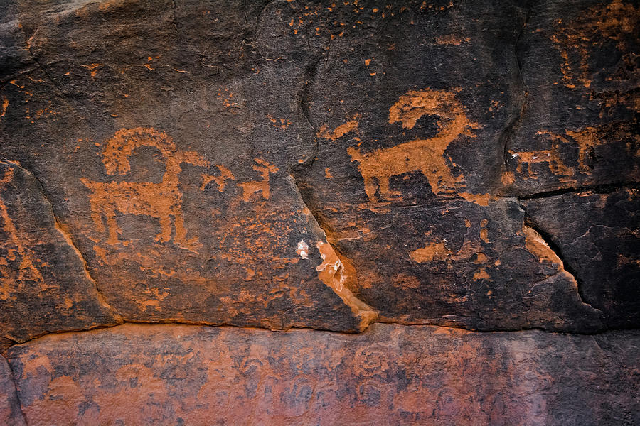 Zion Bighorn Sheep Petroglyphs Photograph by Kyle Hanson