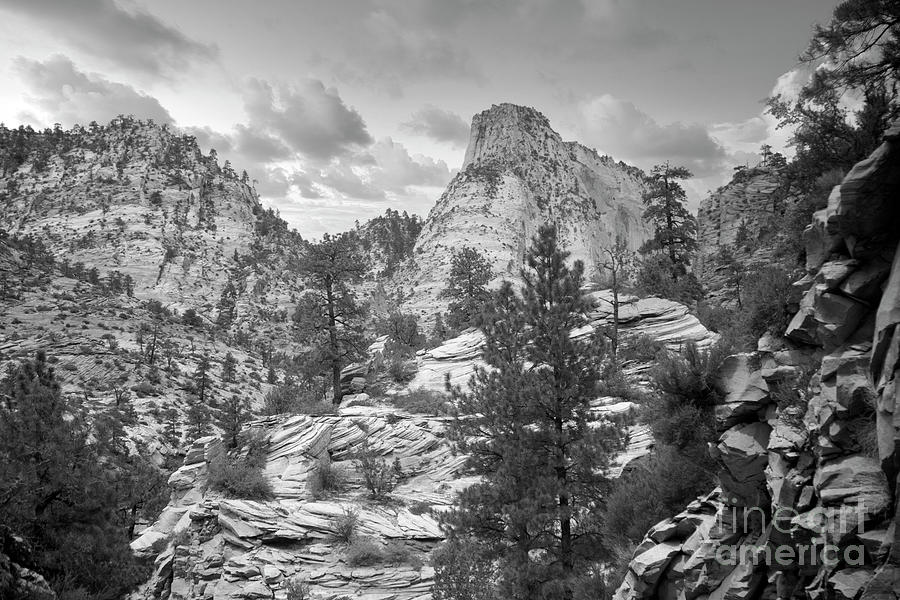 Zion Black White Utah USA Awesome  Photograph by Chuck Kuhn