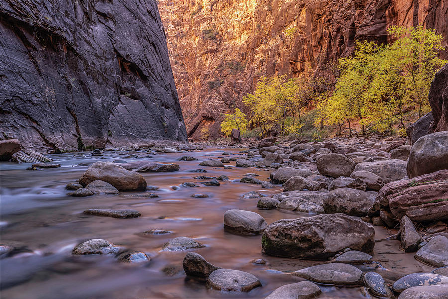 Zion Canyon, Autumn Photograph by Arthur Oleary