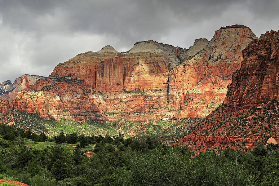 Zion Canyon Photograph by Donna Kennedy
