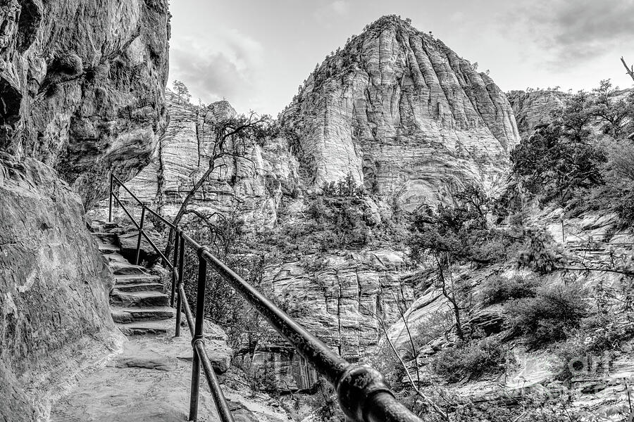 Zion Canyon Overlook Trail After Sunset Grayscale Photograph by Jennifer White Zion Canyon Overlook Trail After Sunset Grayscale Photograph by Jennifer White