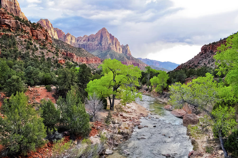 Zion Canyon The Watchman Photograph by Kyle Hanson
