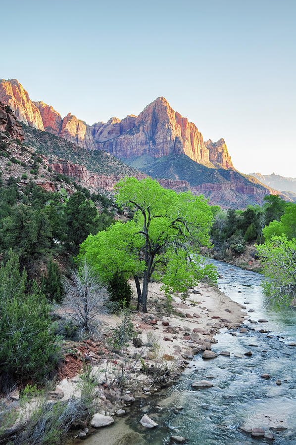 Zion Canyon Watchman Junction Photograph by Kyle Hanson