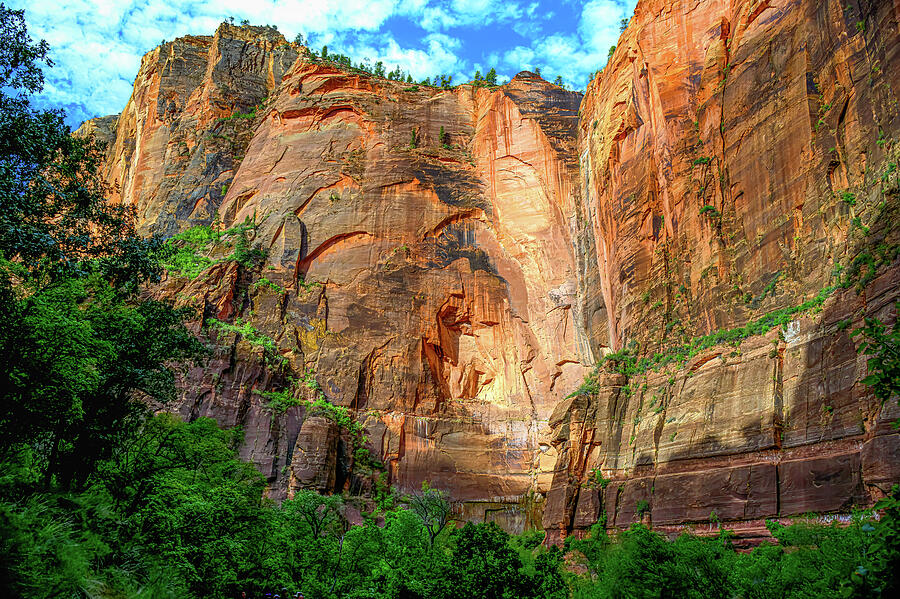 Zion Cliff Catching the Sun Photograph by William D Briscoe Zion Cliff Catching the Sun Photograph by William D Briscoe