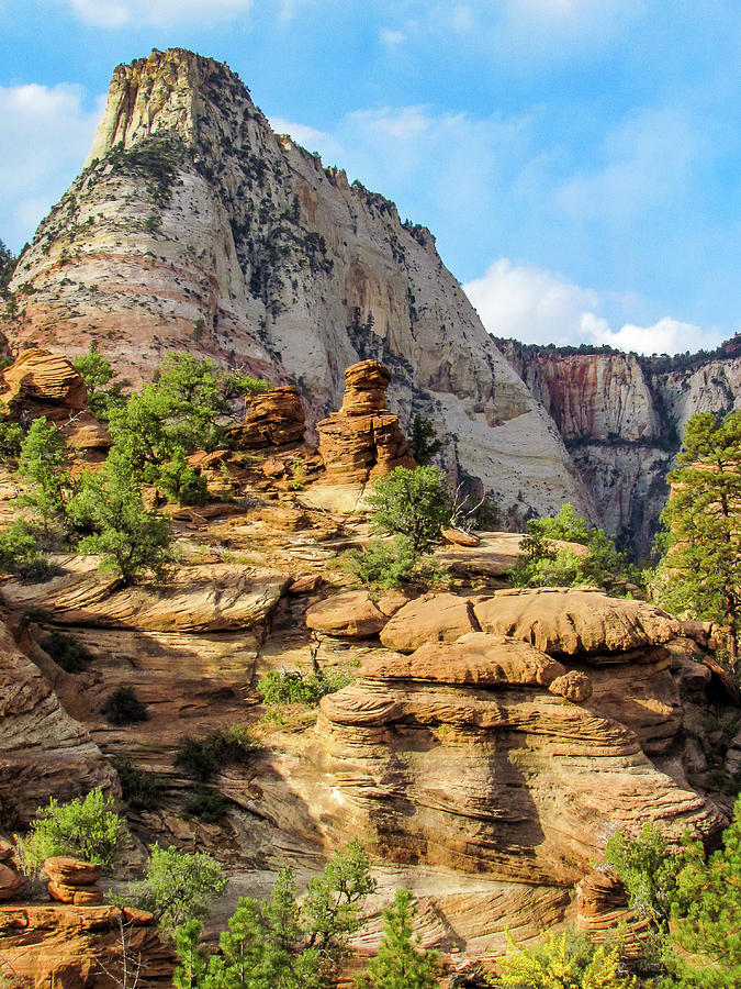 Zion Photograph by Dianne Milliard - Fine Art America