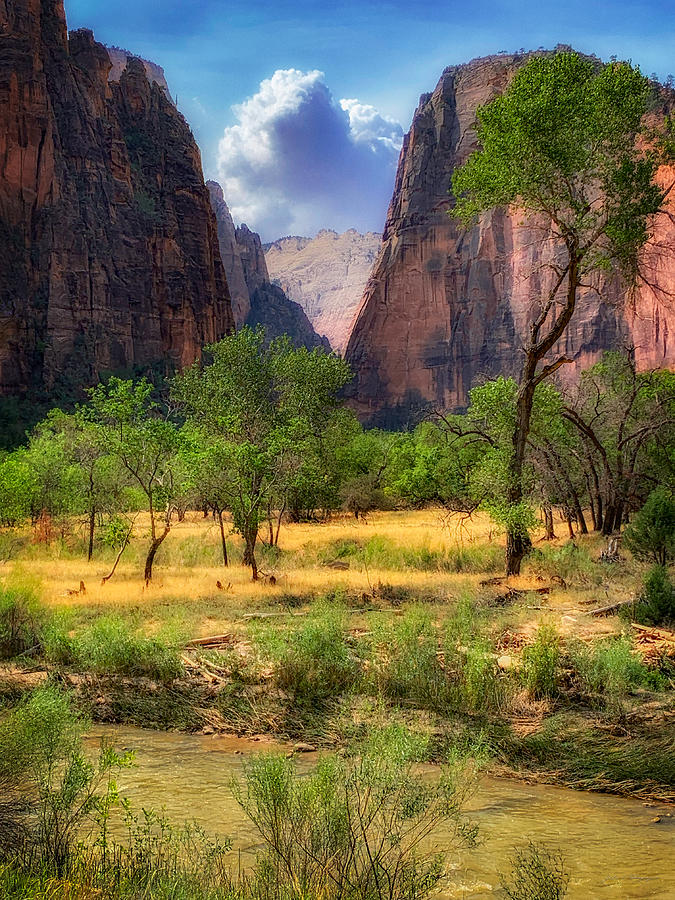 Zion Landscape Photograph by John A Rodriguez