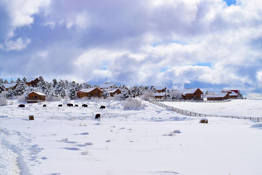 Snow Farmhouse Zion  Photograph by Bnte Creations