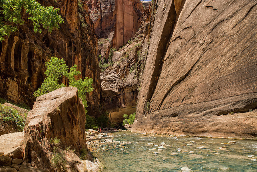 Zion narrows Photograph by Dmdcreative Photography