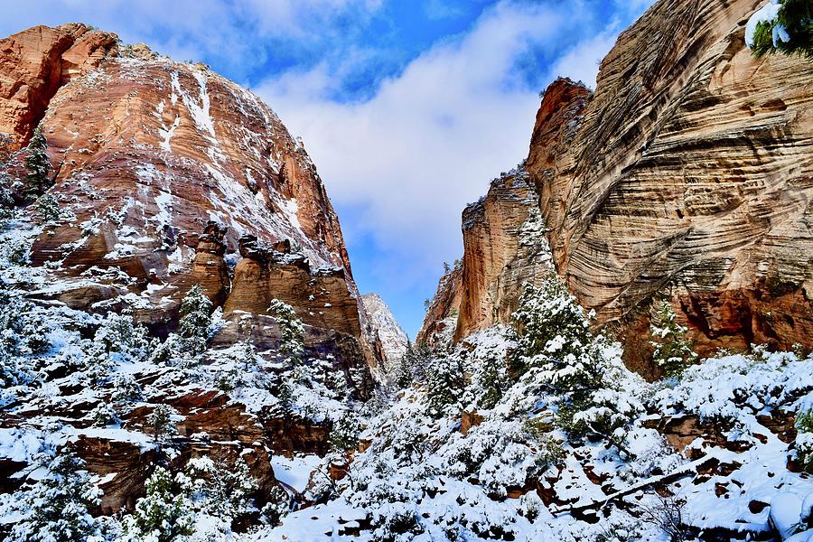 Pine Creek Canyon lookout East Zion Photograph by Bnte Creations