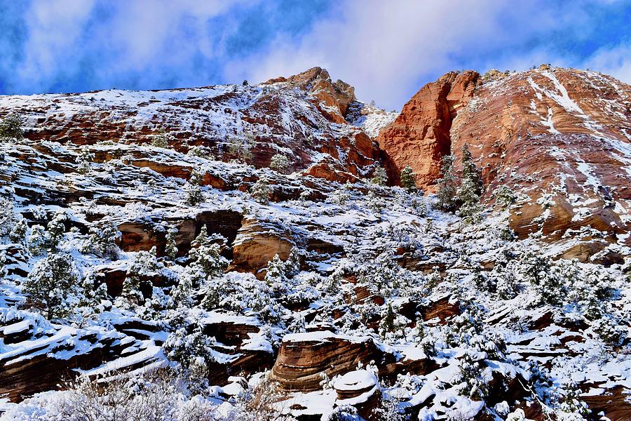 Snowy Hoodoos@Mt. Carmel Hwy,East Zion Photograph by Bnte Creations