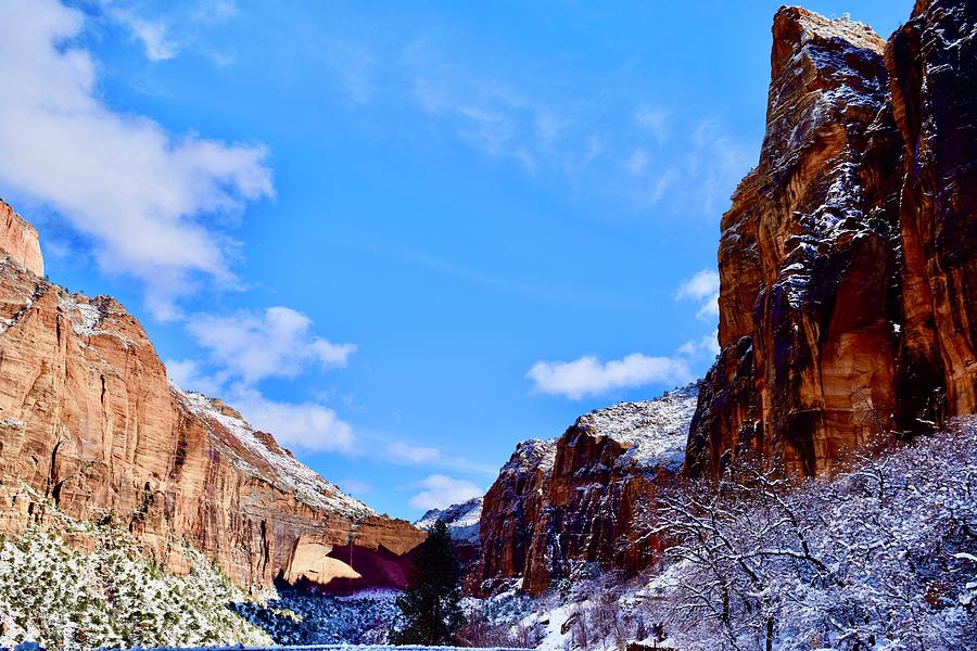 Panoramic The Great Arch-East Temple panoramic view,Zion National Park Photograph by Bnte Creations