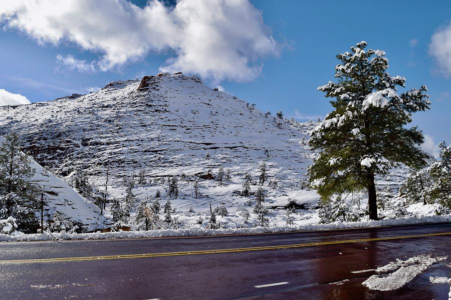 Snow Checkerboard Mesa,East-Zion Photograph by Bnte Creations
